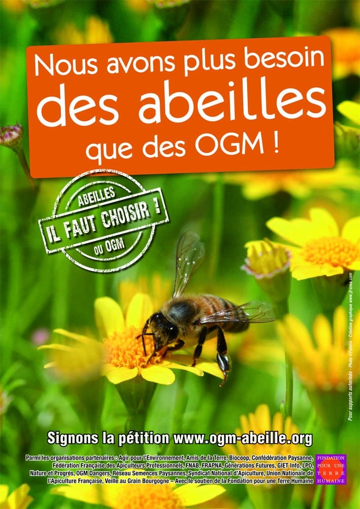Abeilles-OGM
